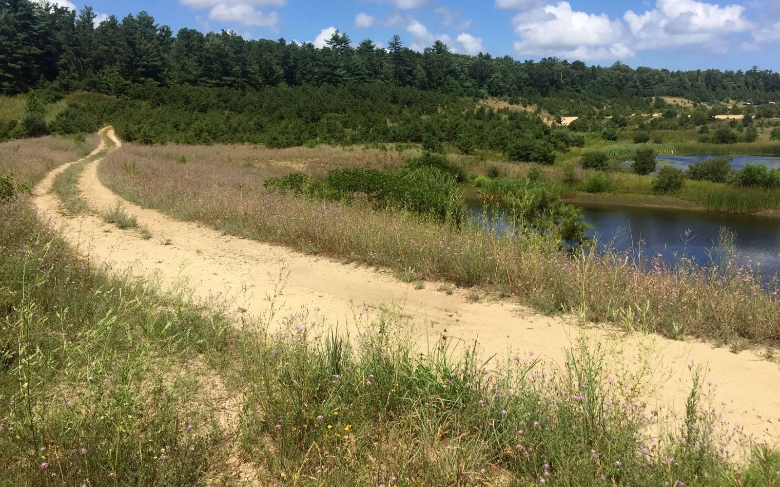 Nature trail through conservation land near Sawyer's Reach active adult homes Plymouth MA