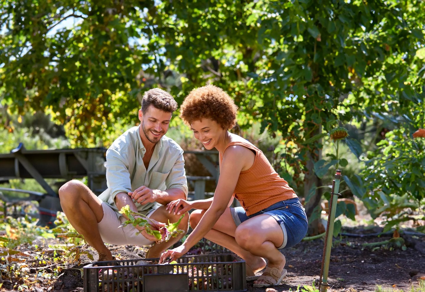 Garden Life & Outdoor Fun - Alden's Reach in Plymouth MA