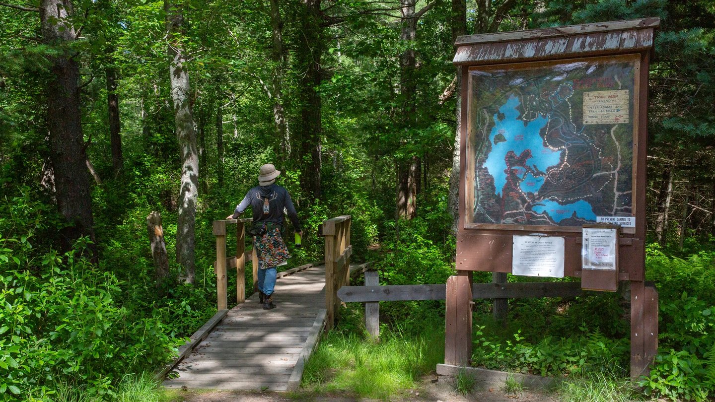 Walking trail connecting Larkwood to Massasoit State Park in Raynham MA